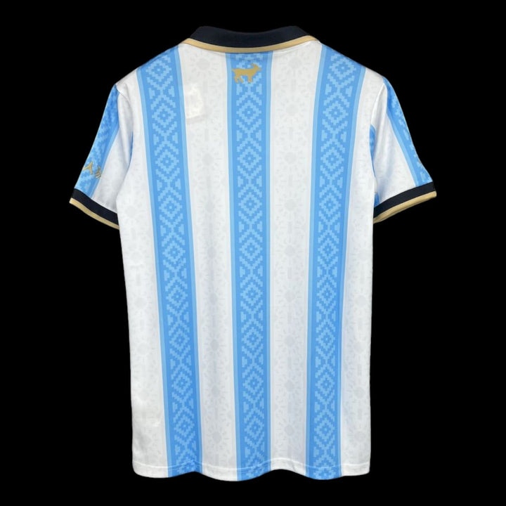 Argentine Maillot Concept — vue 2
