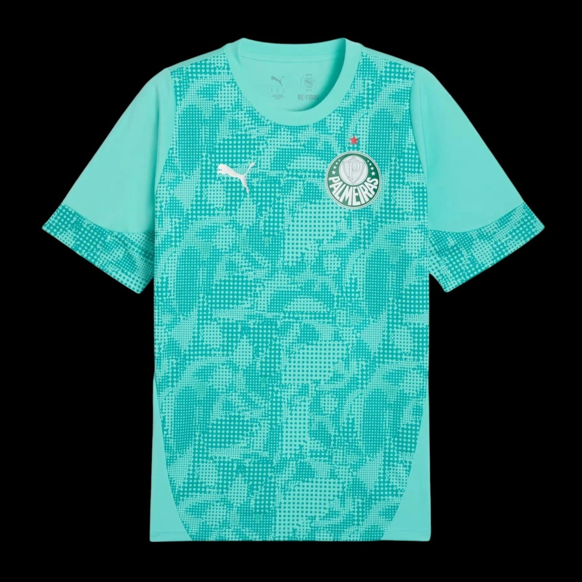 Palmeiras Maillot Gardien 26/27 — vue 1