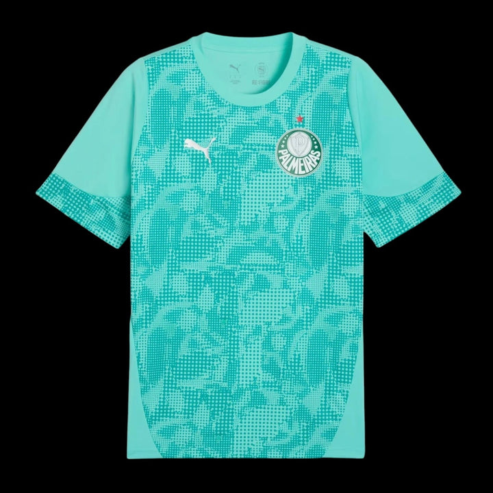 Palmeiras Maillot Gardien 26/27 — vue 1