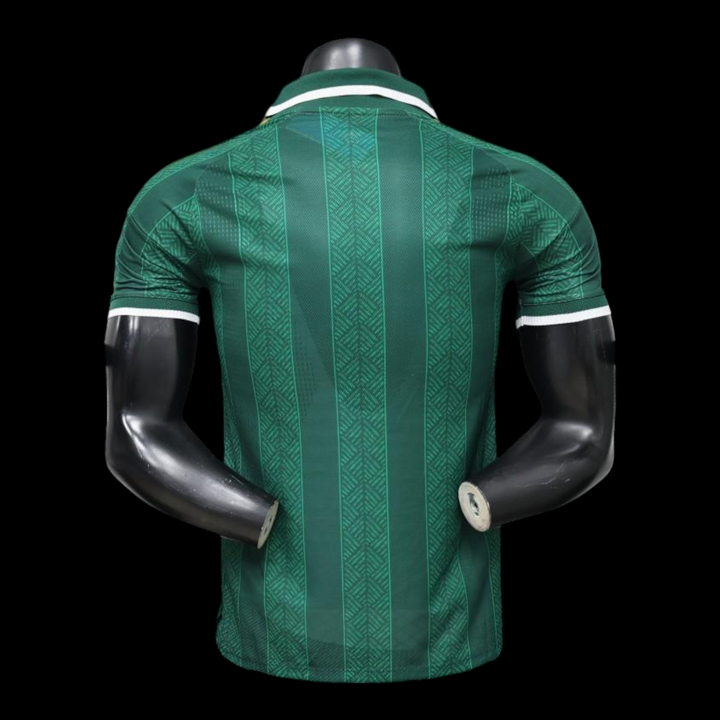 Afrique du sud Maillot Extérieur 26/27 – Version Player — vue 2
