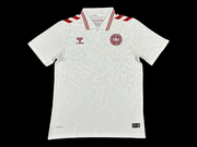 Danemark Maillot Extérieur 24/25 — vue 1