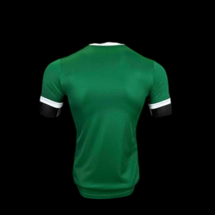 Palmeiras Maillot Domicile 25/26 – Version Player — vue 2