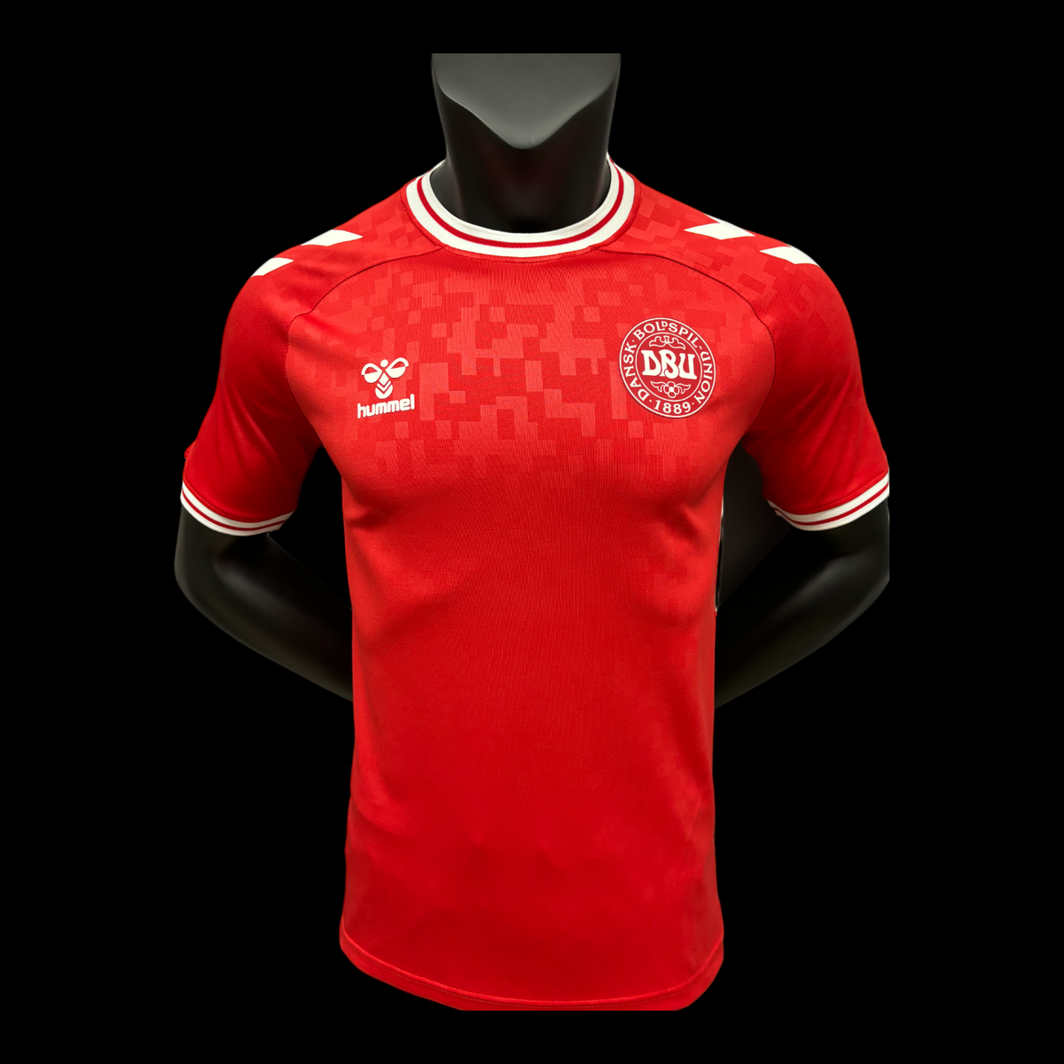 Danemark Maillot Domicile 24/25 – Version Player — vue 1
