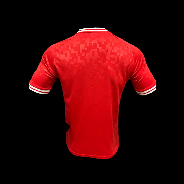 Danemark Maillot Domicile 24/25 – Version Player — vue 2